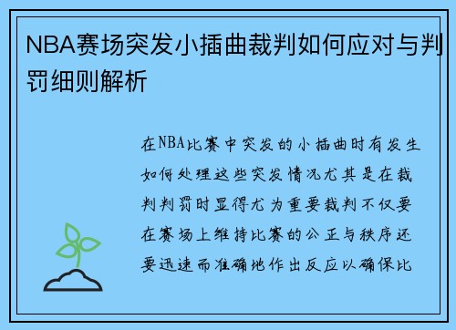 NBA赛场突发小插曲裁判如何应对与判罚细则解析